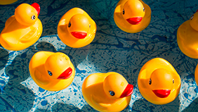 Plastikenten in einem Wasserbecken